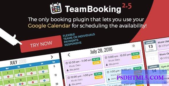 Team Booking v2.6 – WordPress booking system  Plugins-尚睿切图网
