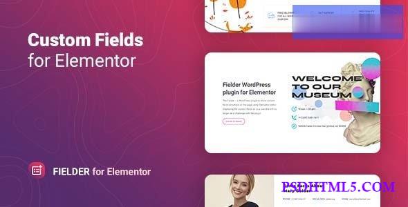 Fielder v1.0.0 – WordPress Custom Fields for Elementor  Plugins-尚睿切图网