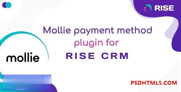 Mollie v1.0 – RISE CRM 的付款方式 – nulled 插件-破解版-尚睿切图网