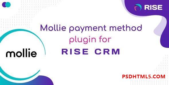 Mollie payment method for RISE CRM v1.0 插件-尚睿切图网