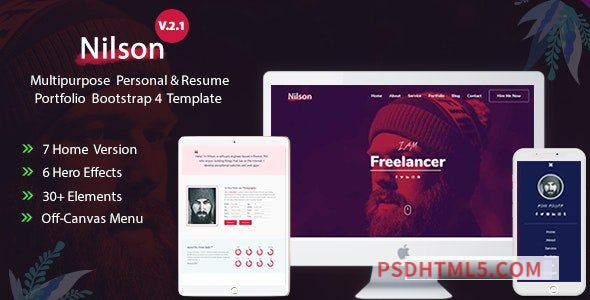 Nilson v2.1 – Multipurpose Personal Resume – Portfolio Template-尚睿切图网