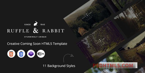 Rabbit – Creative Coming Soon HTML5 Template-尚睿切图网