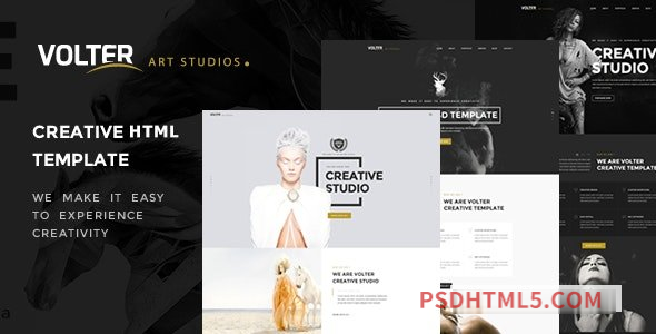 图片[1]-Volter - Creative Multipurpose HTML Template-尚睿切图网