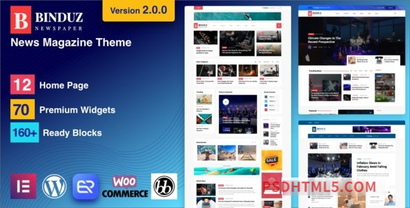 Binduz v2.0.0 – Blog Magazine Newspaper Theme-尚睿切图网