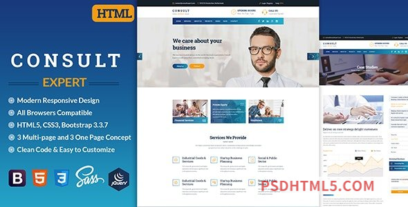 Consult Expert v1.0 – Consulting – Business Template-尚睿切图网