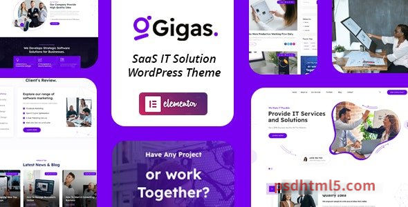 Gigas v1.0 – SaaS wordpress主题-WordPress Theme-尚睿切图网