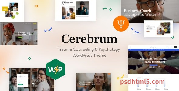 Cerebrum v1.0 - Trauma Counseling - Psychology wordpress主题-WordPress Theme-尚睿切图网
