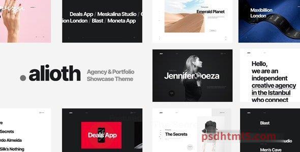 Alioth v1.2.0 - Agency - Portfolio Showcase Theme-尚睿切图网