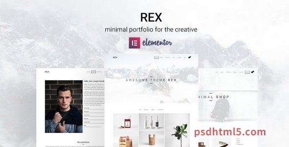 Rex v4.0.0 – Minimal WordPress Portfolio Theme-尚睿切图网