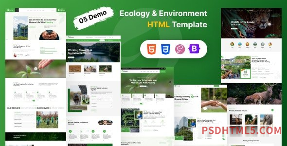 Foresty – Ecology – Environment HTML Template-尚睿切图网