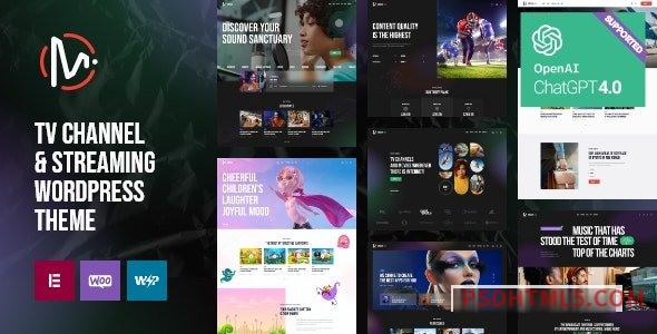 MediaFlex v1.0 – TV Channel – Streaming wordpress主题-WordPress Theme-尚睿切图网