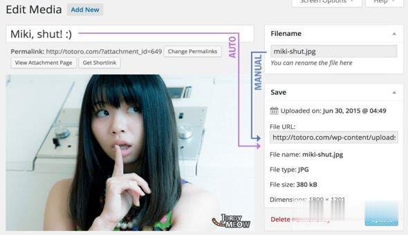 Media File Renamer Pro v5.9.0 -尚睿切图网