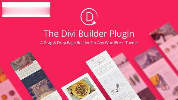 Divi Builder v4.25.0-拖放；Drop Page Builder WP插件 -尚睿切图网