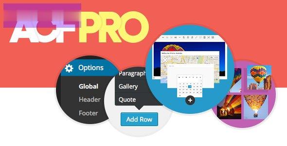 Advanced Custom Fields Pro v6.2.9 -尚睿切图网