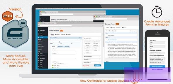 Gravity Forms v2.8.10 -尚睿切图网