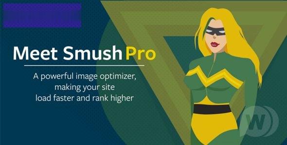 WP Smush Pro v3.16.2-图像压缩插件 -尚睿切图网