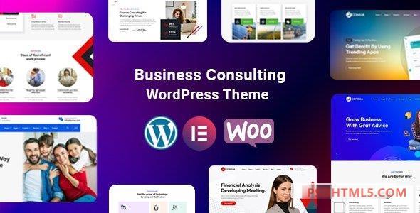 Consua v1.0-商务咨询WordPress -尚睿切图网