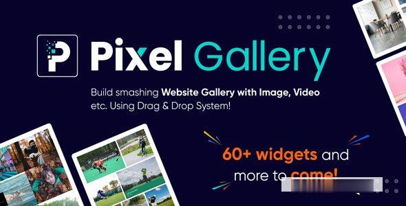 Pixel Gallery Pro v1.4.3 -尚睿切图网