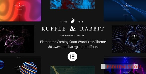 Rabbit v6.0.0-Elementor即将推出WordPress主题 -尚睿切图网