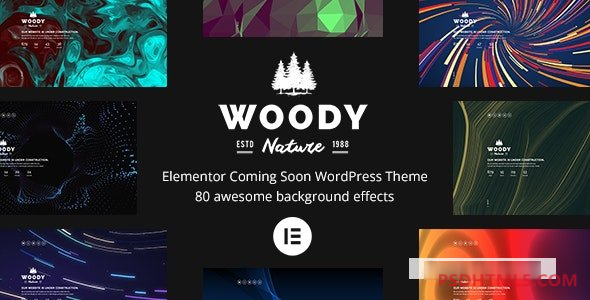 Woody v6.0.0-Elementor即将推出WordPress主题 -尚睿切图网