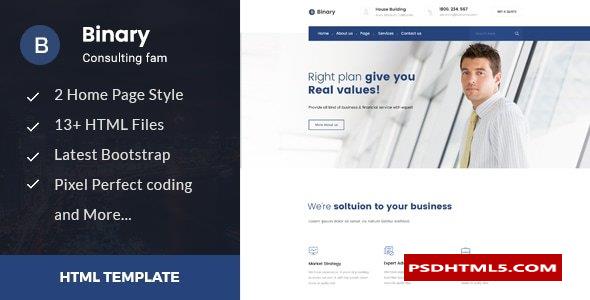 Binary - Business Consulting and Professional Services HTML Template