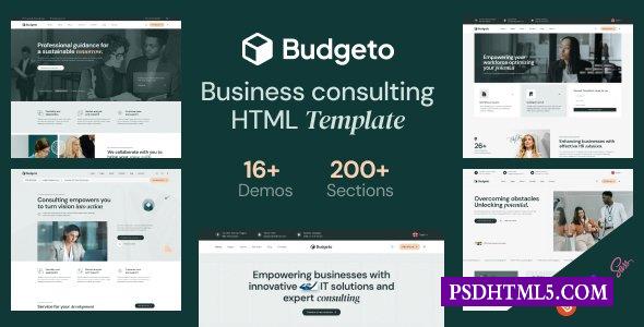 Budgeto-商业咨询HTML模板-尚睿切图网